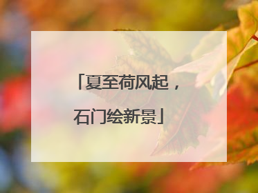 夏至荷风起，石门绘新景