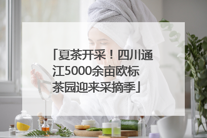 夏茶开采！四川通江5000余亩欧标茶园迎来采摘季