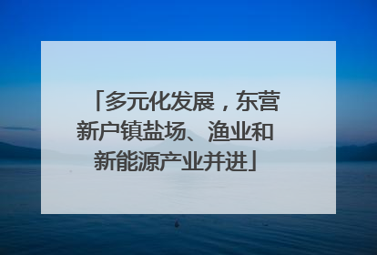 多元化发展，东营新户镇盐场、渔业和新能源产业并进