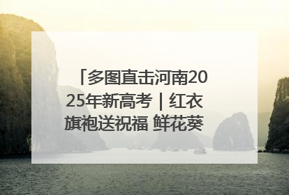 多图直击河南2025年新高考｜红衣旗袍送祝福 鲜花葵花助梦圆——尉氏县高考暖心送考