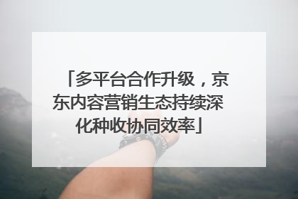 多平台合作升级，京东内容营销生态持续深化种收协同效率