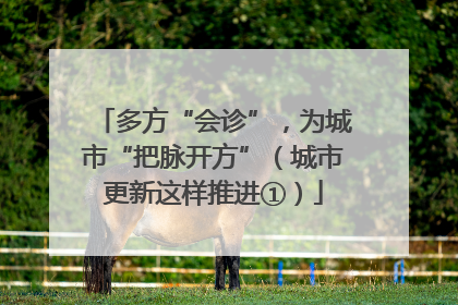 多方“会诊”，为城市“把脉开方”（城市更新这样推进①）