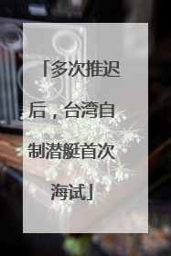 多次推迟后，台湾自制潜艇首次海试