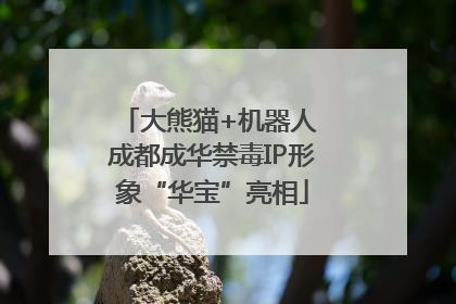 大熊猫+机器人 成都成华禁毒IP形象“华宝”亮相