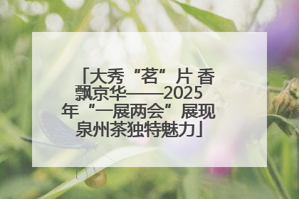 大秀“茗”片 香飘京华——2025年“一展两会”展现泉州茶独特魅力