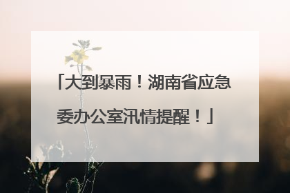 大到暴雨！湖南省应急委办公室汛情提醒！