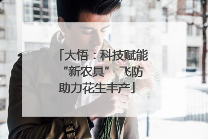 大悟：科技赋能“新农具” 飞防助力花生丰产