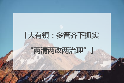 大有镇：多管齐下抓实“两清两改两治理”