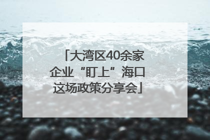 大湾区40余家企业“盯上”海口这场政策分享会