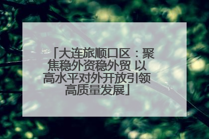 大连旅顺口区：聚焦稳外资稳外贸 以高水平对外开放引领高质量发展