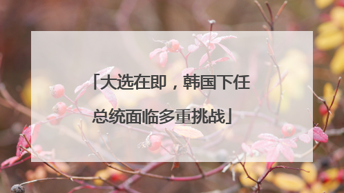 大选在即，韩国下任总统面临多重挑战