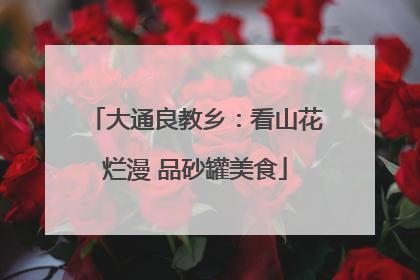 大通良教乡：看山花烂漫 品砂罐美食
