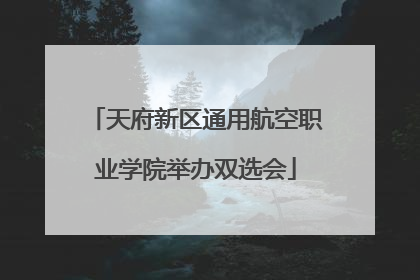 天府新区通用航空职业学院举办双选会