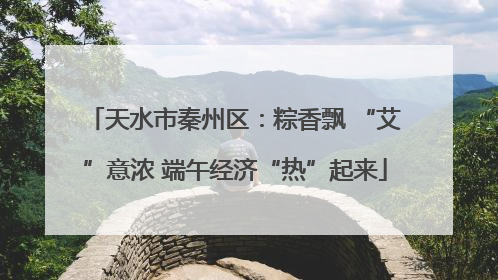 天水市秦州区：粽香飘 “艾”意浓 端午经济“热”起来