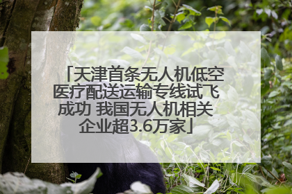 天津首条无人机低空医疗配送运输专线试飞成功 我国无人机相关企业超3.6万家