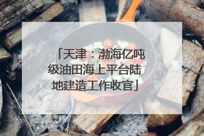 天津：渤海亿吨级油田海上平台陆地建造工作收官