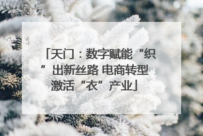 天门：数字赋能“织”出新丝路 电商转型激活“衣”产业