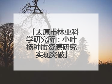 太原市林业科学研究所：小叶杨种质资源研究实现突破