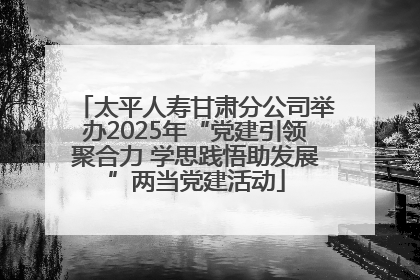 太平人寿甘肃分公司举办2025年“党建引领聚合力 学思践悟助发展”两当党建活动