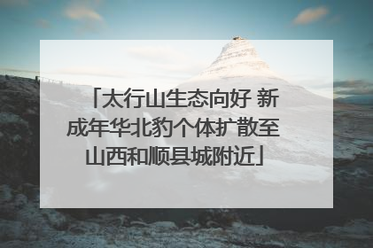 太行山生态向好 新成年华北豹个体扩散至山西和顺县城附近