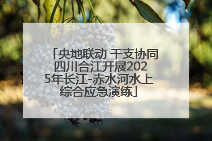 央地联动 干支协同 四川合江开展2025年长江-赤水河水上综合应急演练