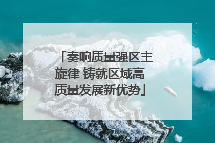 奏响质量强区主旋律 铸就区域高质量发展新优势