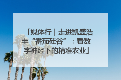 媒体行｜走进凯盛浩丰“番茄硅谷”：看数字神经下的精准农业