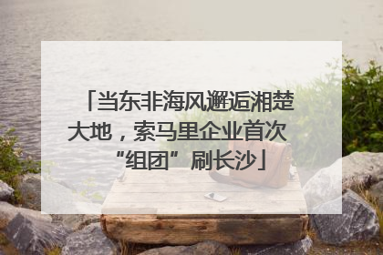 当东非海风邂逅湘楚大地，索马里企业首次“组团”刷长沙