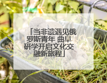 当非遗遇见俄罗斯青年 曲阜研学开启文化交融新旅程