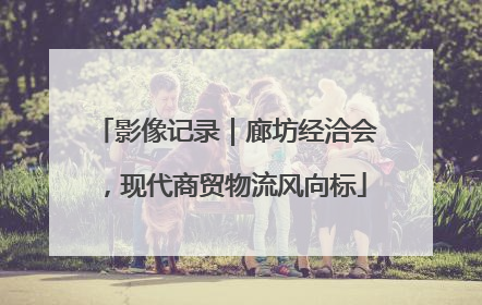 影像记录｜廊坊经洽会，现代商贸物流风向标