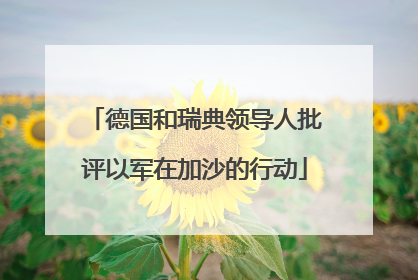 德国和瑞典领导人批评以军在加沙的行动