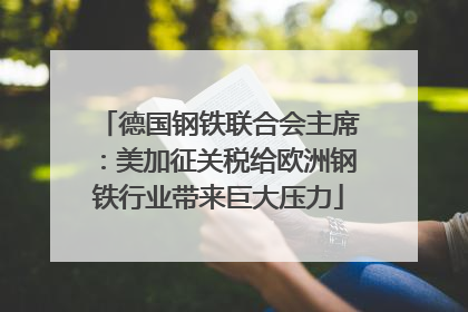 德国钢铁联合会主席：美加征关税给欧洲钢铁行业带来巨大压力