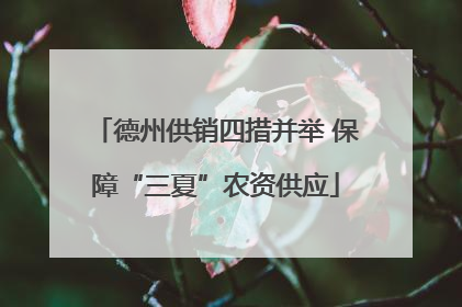 德州供销四措并举 保障“三夏”农资供应