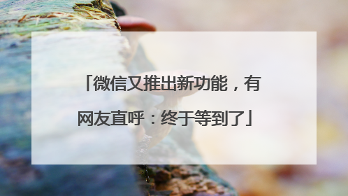 微信又推出新功能，有网友直呼：终于等到了