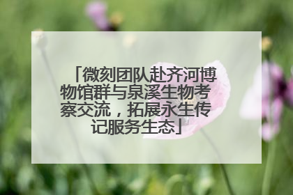 微刻团队赴齐河博物馆群与泉溪生物考察交流,拓展永生传记服务生态