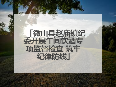 微山县赵庙镇纪委开展午间饮酒专项监督检查 筑牢纪律防线
