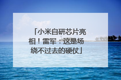 小米自研芯片亮相！雷军：这是场绕不过去的硬仗