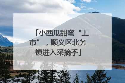 小西瓜甜蜜“上市”，顺义区北务镇进入采摘季