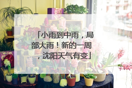 小雨到中雨，局部大雨！新的一周，沈阳天气有变
