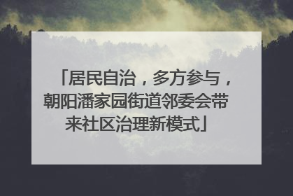 居民自治，多方参与，朝阳潘家园街道邻委会带来社区治理新模式