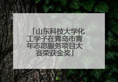 山东科技大学化工学子在青岛市青年志愿服务项目大赛荣获金奖