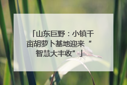 山东巨野：小镇千亩胡萝卜基地迎来“智慧大丰收”