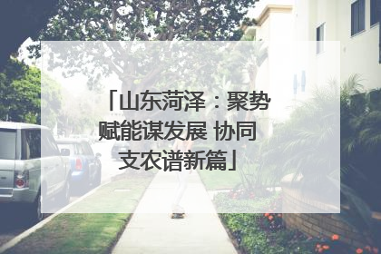 山东菏泽：聚势赋能谋发展 协同支农谱新篇