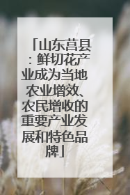 山东莒县：鲜切花产业成为当地农业增效、农民增收的重要产业发展和特色品牌