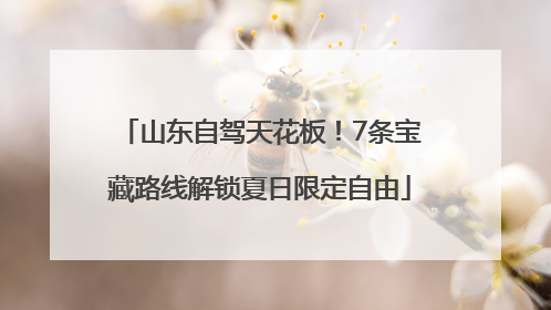 山东自驾天花板！7条宝藏路线解锁夏日限定自由
