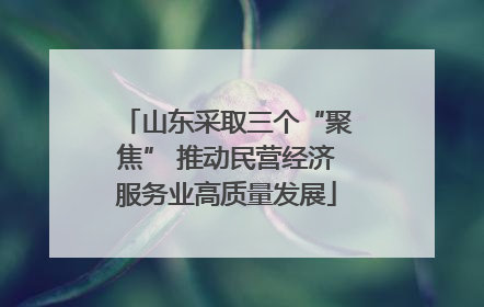 山东采取三个“聚焦” 推动民营经济服务业高质量发展