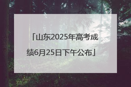 山东2025年高考成绩6月25日下午公布