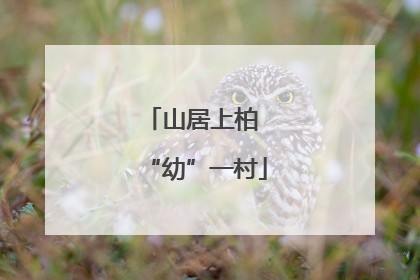 山居上柏 “幼”一村