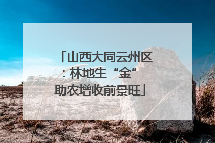 山西大同云州区:林地生“金” 助农增收前景旺