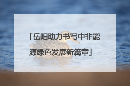 岳阳助力书写中非能源绿色发展新篇章